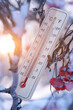 Wooden thermometer on branch against background frozen berries in thirty degree frost.