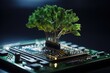 Tree growing on the converging point of computer circuit board. Green computing, Green technology, Green IT, CSR, and IT ethics. Concept of green technology. 