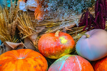 Wall Mural - Thanksgiving and Autumn decoration concept made from autumn leaves and pumpkin on stone background