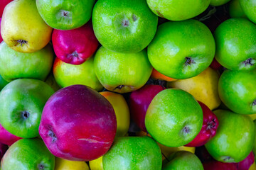 Wall Mural - Red and green apples. Background of ripe apples.