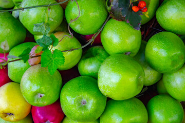 Wall Mural - Red and green apples. Background of ripe apples.