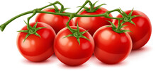 Raw Realistic Red Ripe Tomato Cherry Vegetables Vibrant Cluster Glistening With Freshness, Promises Burst Of Juicy Flavor. 3d Vector Bunch Of Miniature Orbs Embodies The Essence Of Sun-kissed Ripeness
