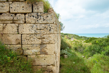 Wall Mural - Selinunte Archaeological Park - Sicily - Italy