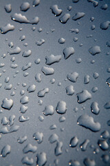 Canvas Print - raindrops on the bonnet