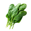 Spinach photograph isolated on white background