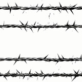 Fototapeta  - wire sharp barrier barbed metal safety fence border steel boundary protect security iron prison g