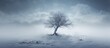 © The 2R Artificiality - A tree is surrounded by a snow blizzard.