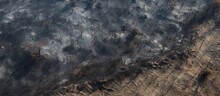 Aerial Perspective Of Forest And Field Fire Aftermath, Showing Burnt Ground And Black Ash Layer, Shot From Low Height With Downward View.
