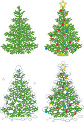 Wall Mural - Four version of a green Christmas fir tree festively decorated with holiday balls and covered with snow, vector cartoon illustration isolated on a white background