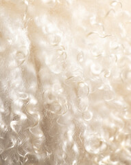 Wall Mural - White sheep wool as an abstract background. Texture