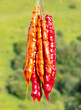 Churchkhela hanging on a rope in nature