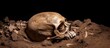 Ancient burial site reveals human skeletal remains.