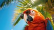 Ara multi-colored parrot in sunglasses under a palm tree enjoys relaxation and the sun. Vacation concept