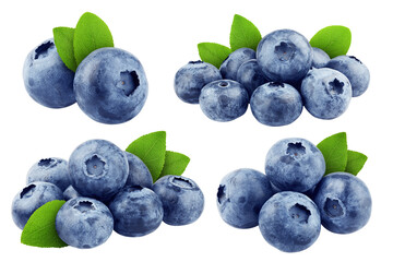 Wall Mural - blueberry isolated on white background, full depth of field