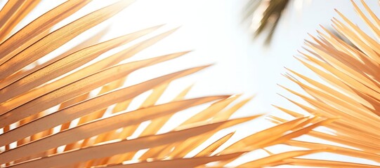 Wall Mural - An abstract background image for creative content featuring a close-up of palm leaves against a sky backdrop, creating a visually dynamic and tropical composition. Photorealistic illustration