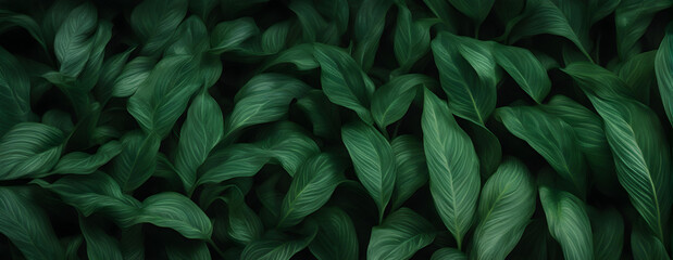  abstract background with tropical green leaves