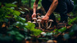 Person foraging mushrooms in the forest, connecting with nature and sustainability.
