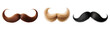 Set of mustaches, black, brown, blond on a transparent background.