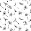 Seamless pattern, flying fluffy dandelion seeds. Background, print, textile, vector