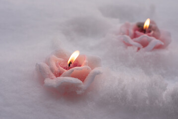 Candles in the Snow. Pink Rose Candles Bruning. Light in the Winter. 