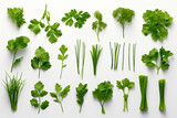 Fototapeta Łazienka - a bunch of green herbs on a white surface