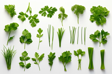 a bunch of green herbs on a white surface