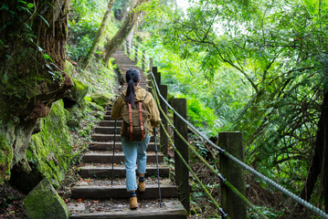 Wall Mural - Hiking woman go hiking and walk along the forest