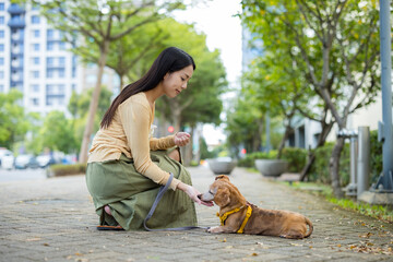 Poster - Woman feed her dog with snack at the street