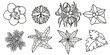 © 4zevar - Set of houseplants outline drawings top view