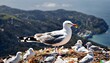 A seagull holding plastic waste on its beak on the the top of a mountain in its nest full of plastic waste, high quality photo, realistic, selective focus on the seagull