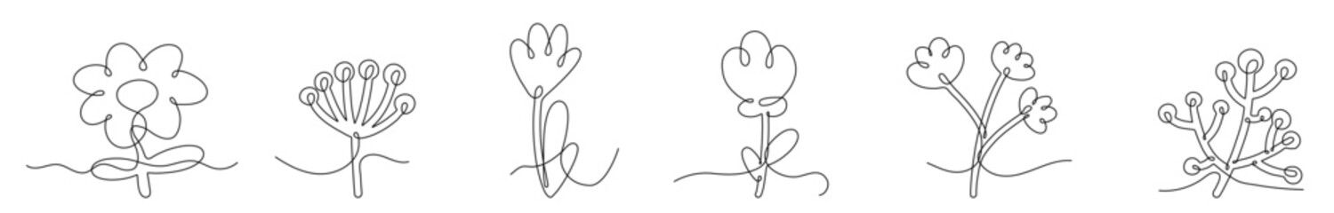 Wall Mural - continuous editable line drawing of flowers set. single line plant icons.
