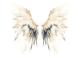 Wall Mural - White angel wings isolated on transparent background