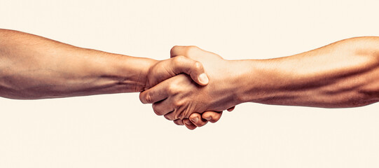 Wall Mural - Partners who shake their hands. Friendly handshake, friends greeting, teamwork, friendship. Rescue, helping gesture or hands. Two hands, helping hand of a friend. Handshake, arms friendship