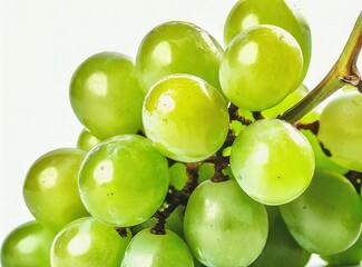 Wall Mural - Bunch of green grapes isolated on white background