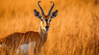 Grassy Plains' Watcher: Cubist Antelope