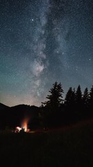 Wall Mural - vertical video of friends sitting by campfire under starry night sky with milky way galaxy stars ove