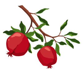 Wall Mural - Pomegranate icon. Cartoon isolated summer garnet fruit. Advertising tropical ripe fruit.  illustration of healthy food