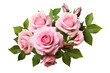 Pink rose flowers with green leaves in a floral arrangement isolated on white or transparent background.