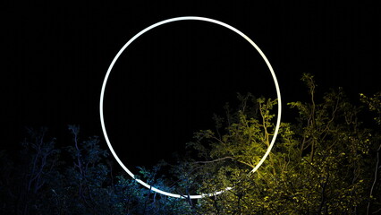 Wall Mural - luminous circle ring in foliage of tree branches on black background. neon glow illumination, place 