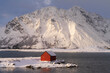 Small Norway typical red wooden house in the fjord with snowcapped mountain