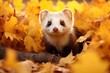 The ferret in yellow leaves