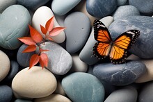 Butterfly On Spa Massage Stones In Zen Garden