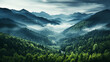 © Inlovehem - Aerial view of the rainforest with fog and good weather