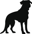 Dog Silhouette graphic design black with white background breed husky puppy golden retriever bulldog german shepard border collie york