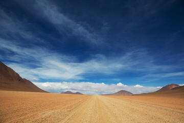 Canvas Print - Road in Bolivia