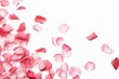 Valentine's Day concept, background of red rose petals on white background