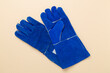 © Liami - Blue construction gloves on color background, top view