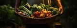Fototapeta Kuchnia - koszyk świeżych warzyw i owoców