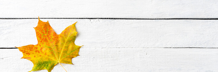 Wall Mural - Colourful autumn leaf on white wooden table with copyspace. Top view