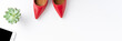 © One Pixel Studio - Fashion background with red high heels, phone, purse and green flower isolated on white table. Woman’s lifestyle. Top view